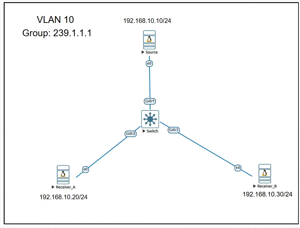 Multicast lab topology